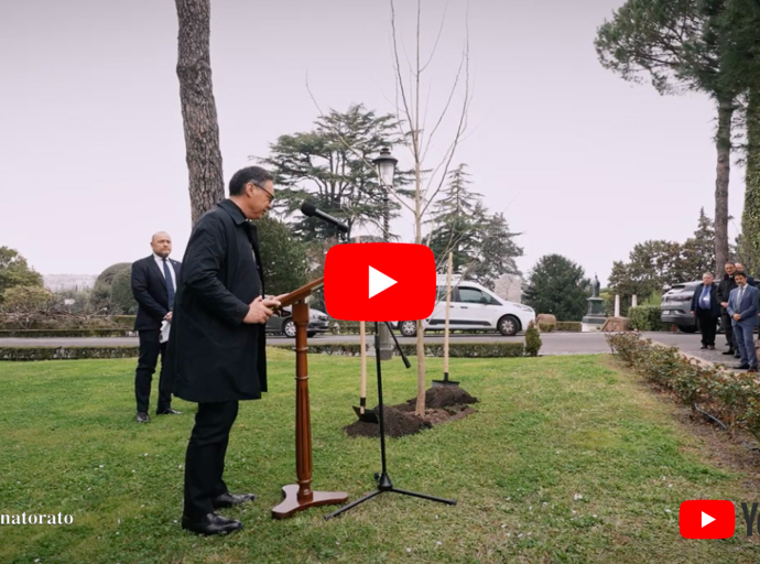 Nei Giardini Vaticani piantumato un albero di Ginkgo Biloba