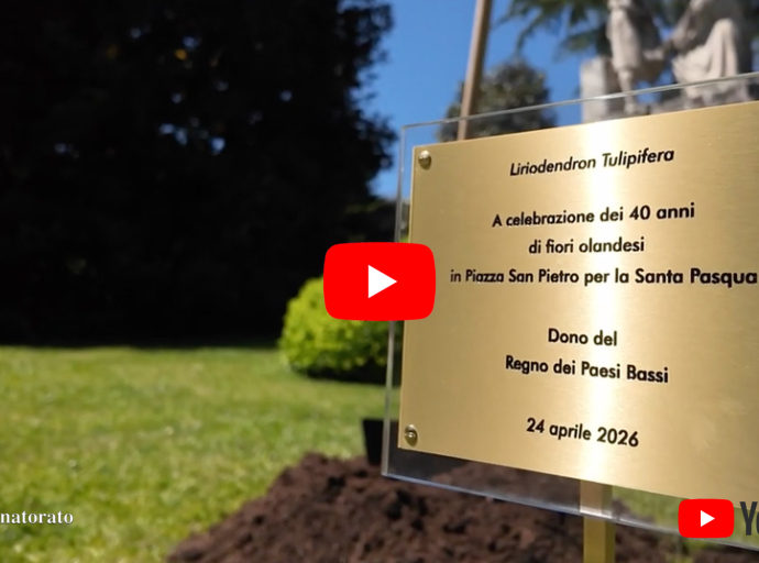 Piantumazione Albero dei Tulipani nei Giardini Vaticani