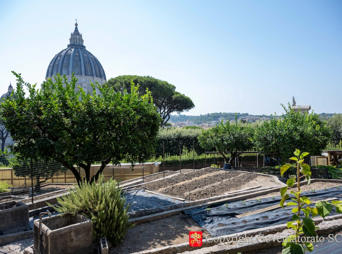 El huerto del monasterio Mater Ecclesiae se convierte en 100 % ecológico