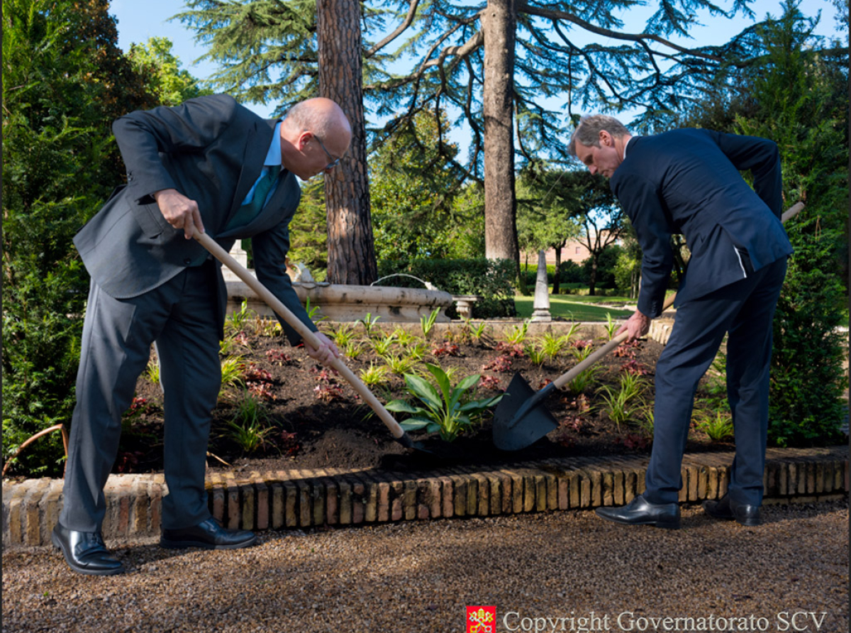 Shrubs and Plants from the Netherlands Planted in the Vatican Gardens