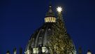 Natale in Vaticano: il presepe dono del Friuli, l'albero da un borgo dell'Abruzzo
